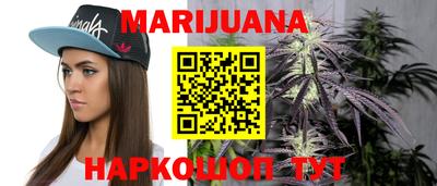 Альфа ПВП Тула