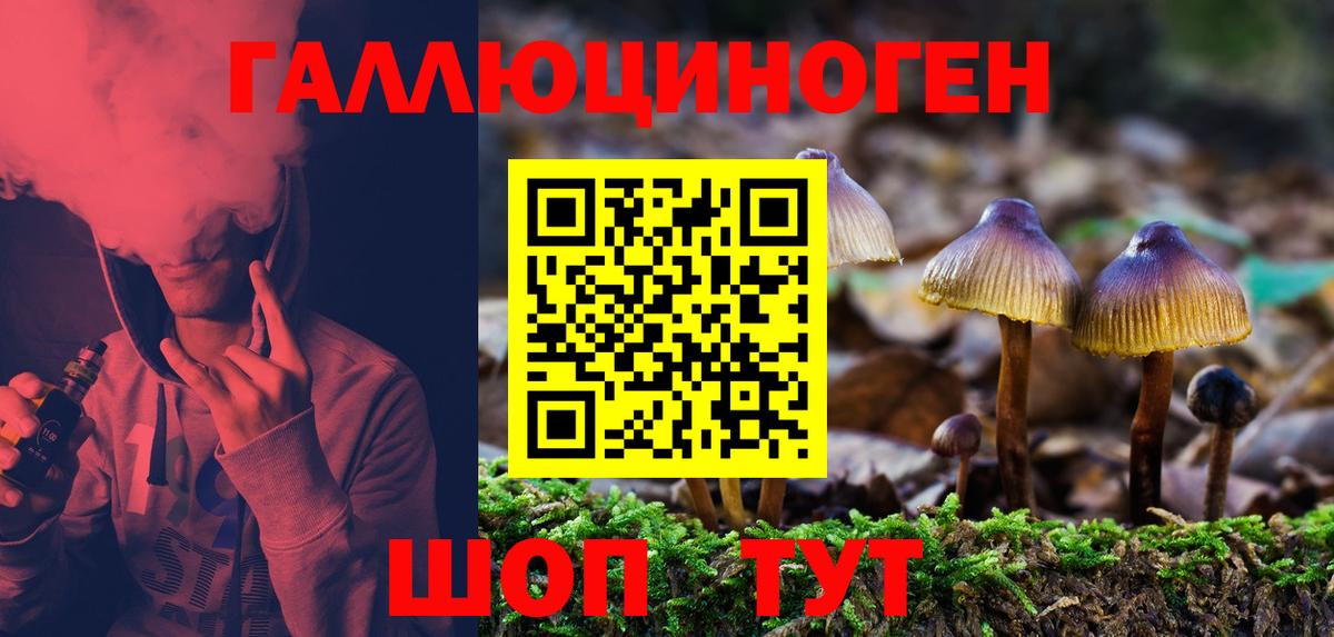 Псилоцибиновые грибы прущие грибы Лесосибирск