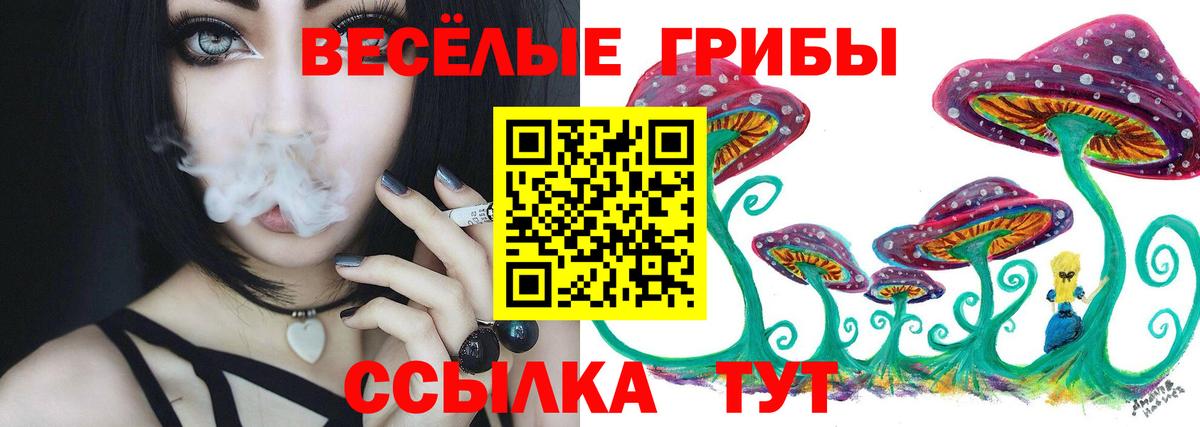 Псилоцибиновые грибы Magic Shrooms  Вход с VPN  Лесосибирск 